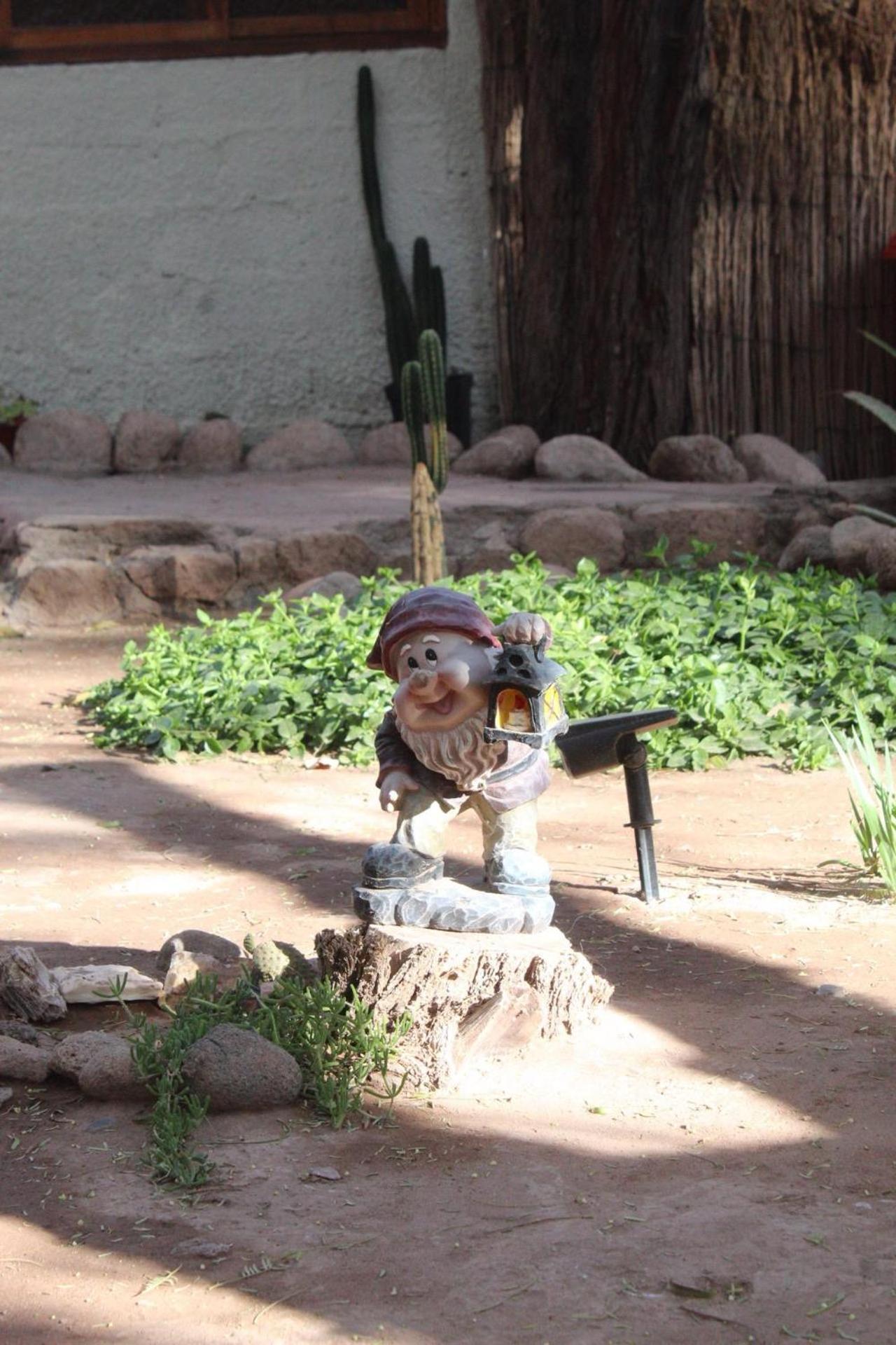 Vientos - La Yareta Guest House San Pedro de Atacama Luaran gambar